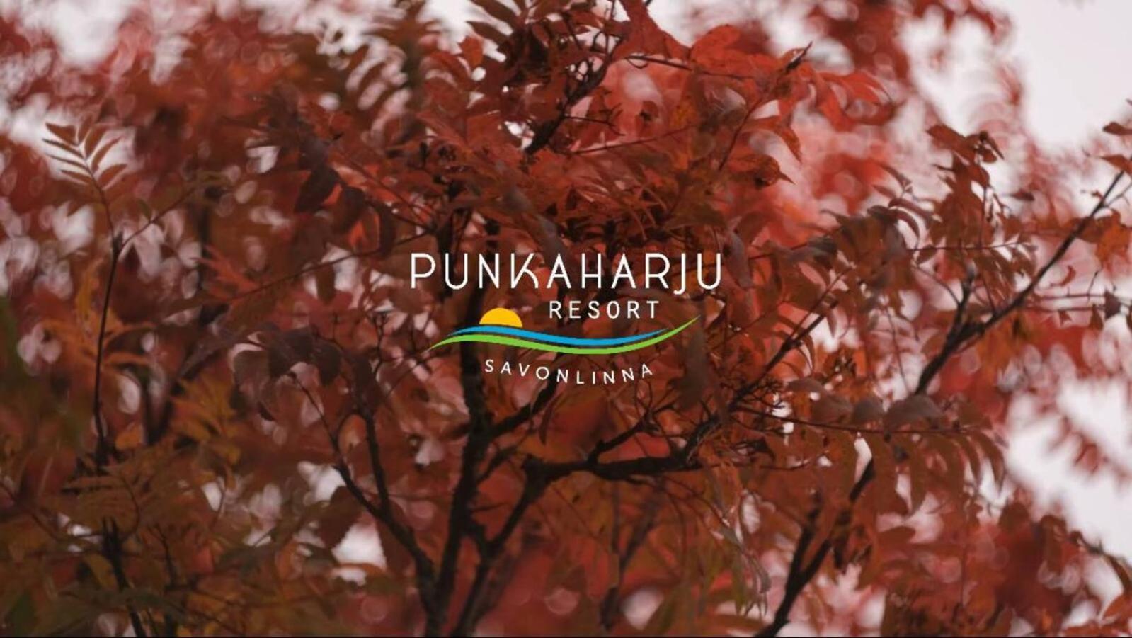 Punkaharju Resort Екстер'єр фото