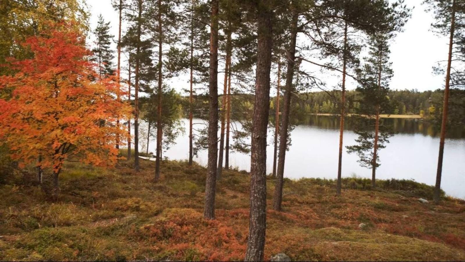 Punkaharju Resort Екстер'єр фото